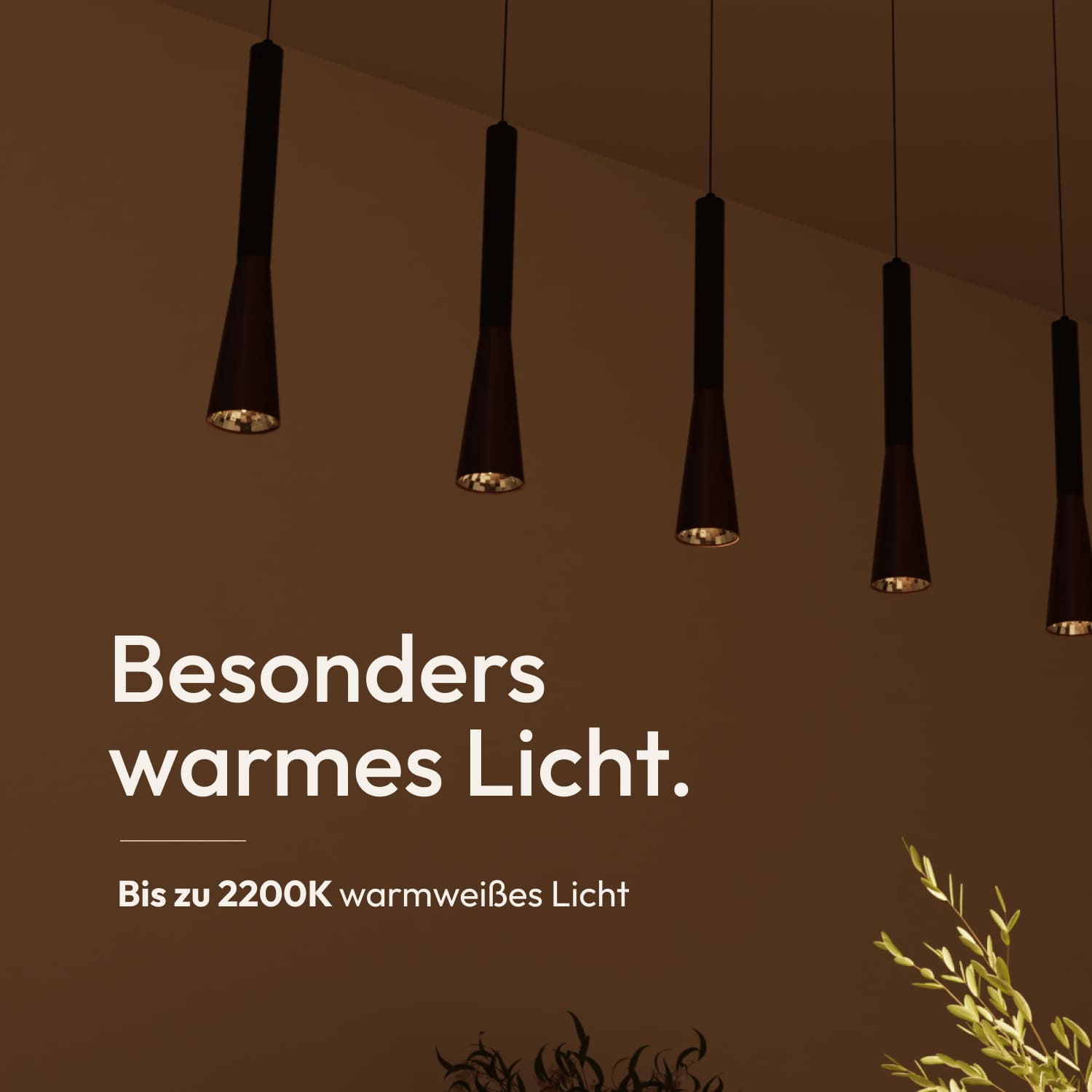 Solea Pendelleuchte