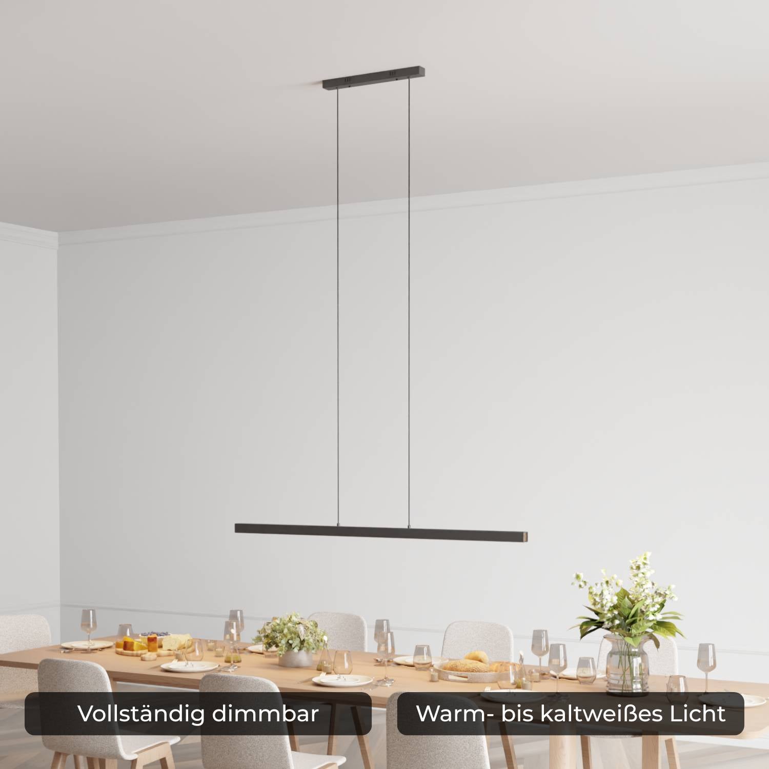 Calimera designer pendant lamp
