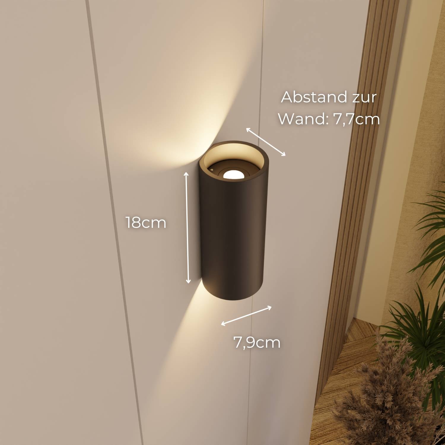 Senna wall light