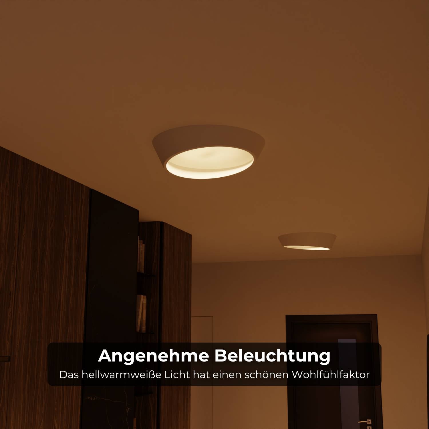 Celestia ceiling light